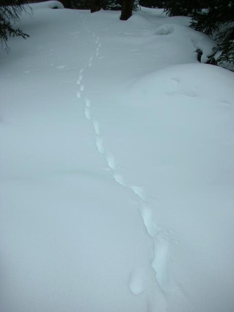 DSCN7895.JPG