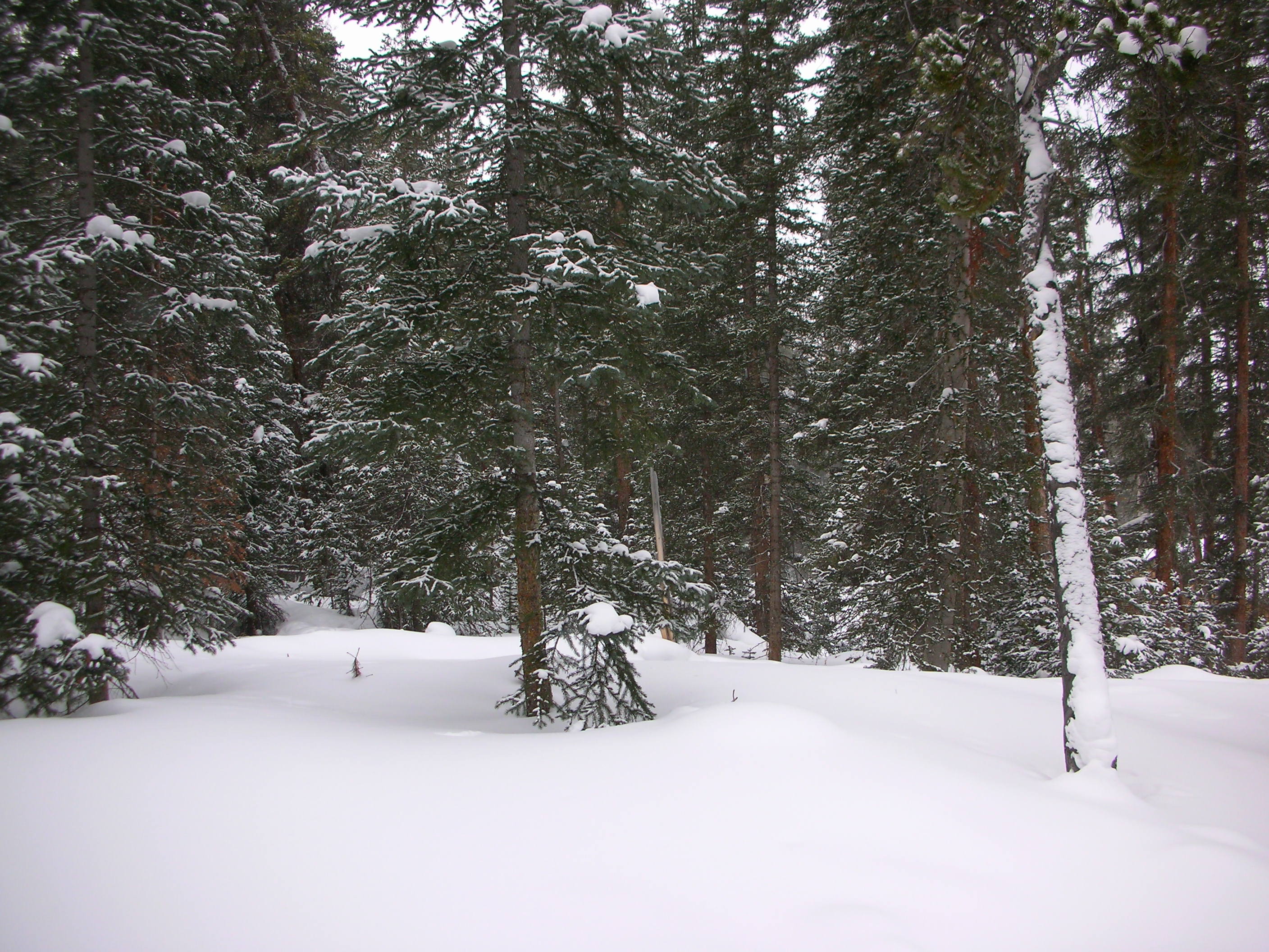 DSCN7905.JPG