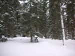 DSCN7905.JPG