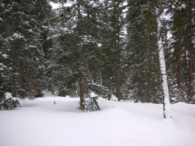 DSCN7905.JPG