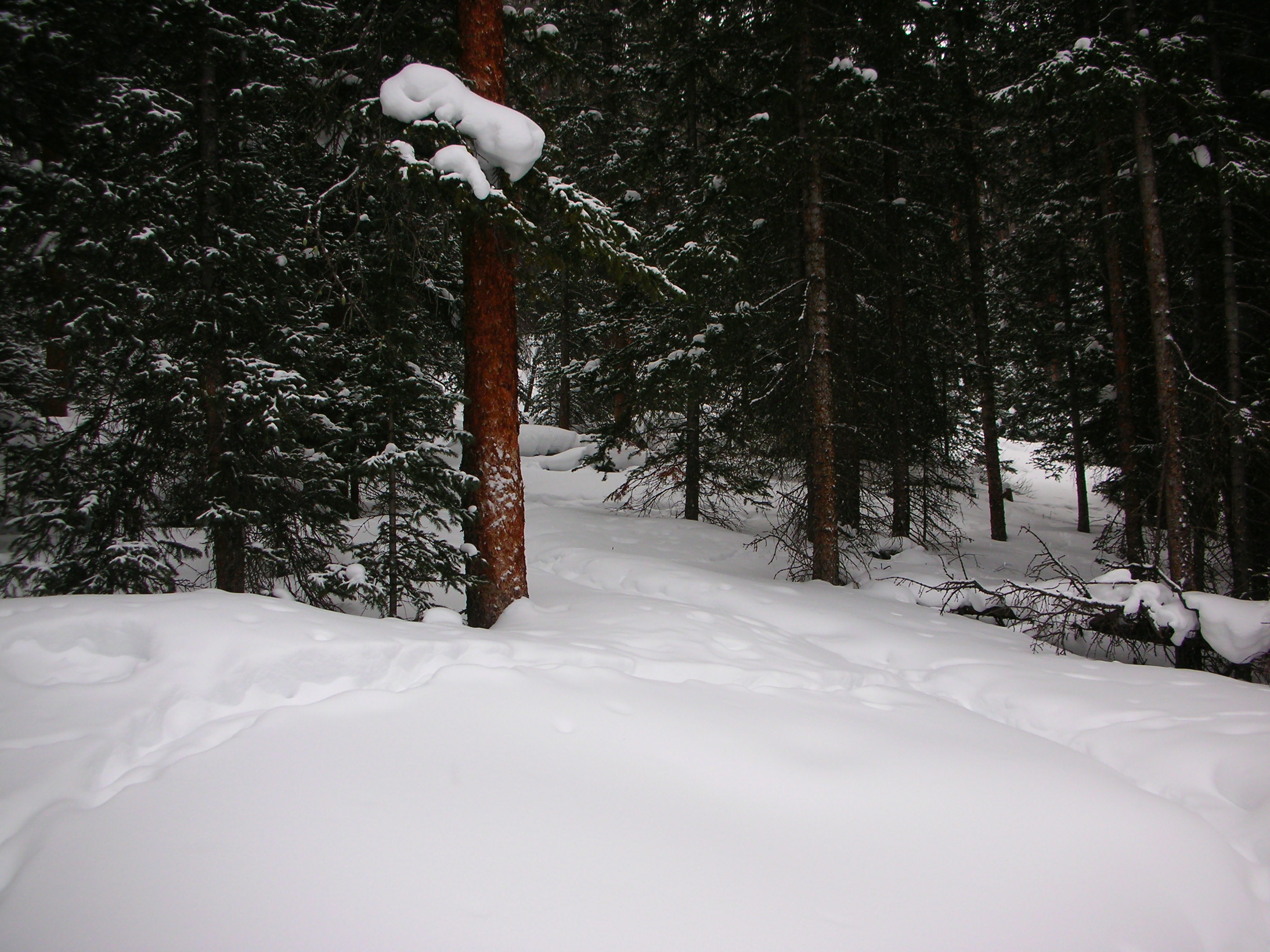 DSCN7906.JPG