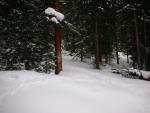 DSCN7906.JPG