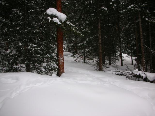 DSCN7906.JPG