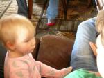 DSCN7930.JPG