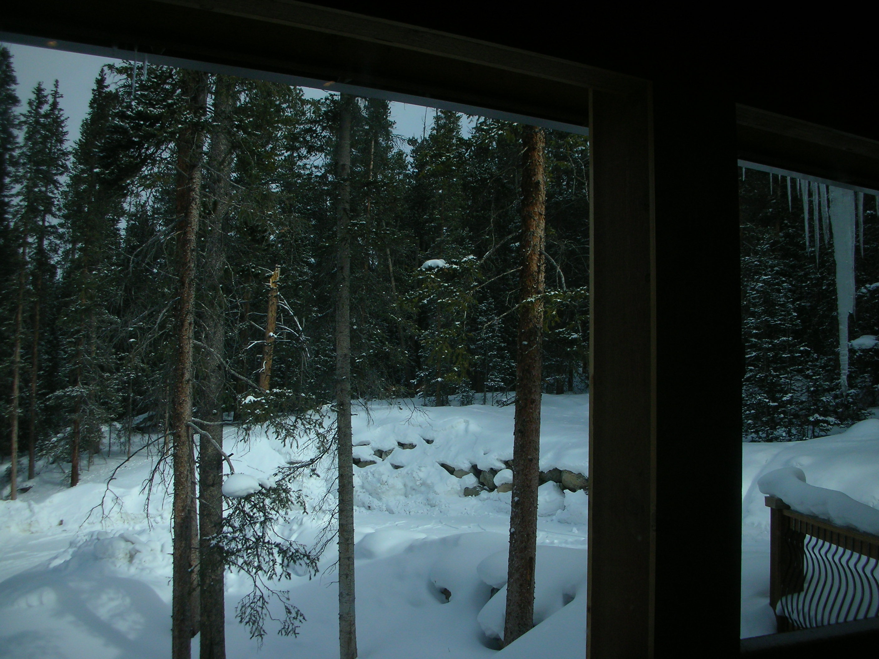 DSCN7932.JPG