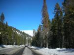 DSCN7944.JPG
