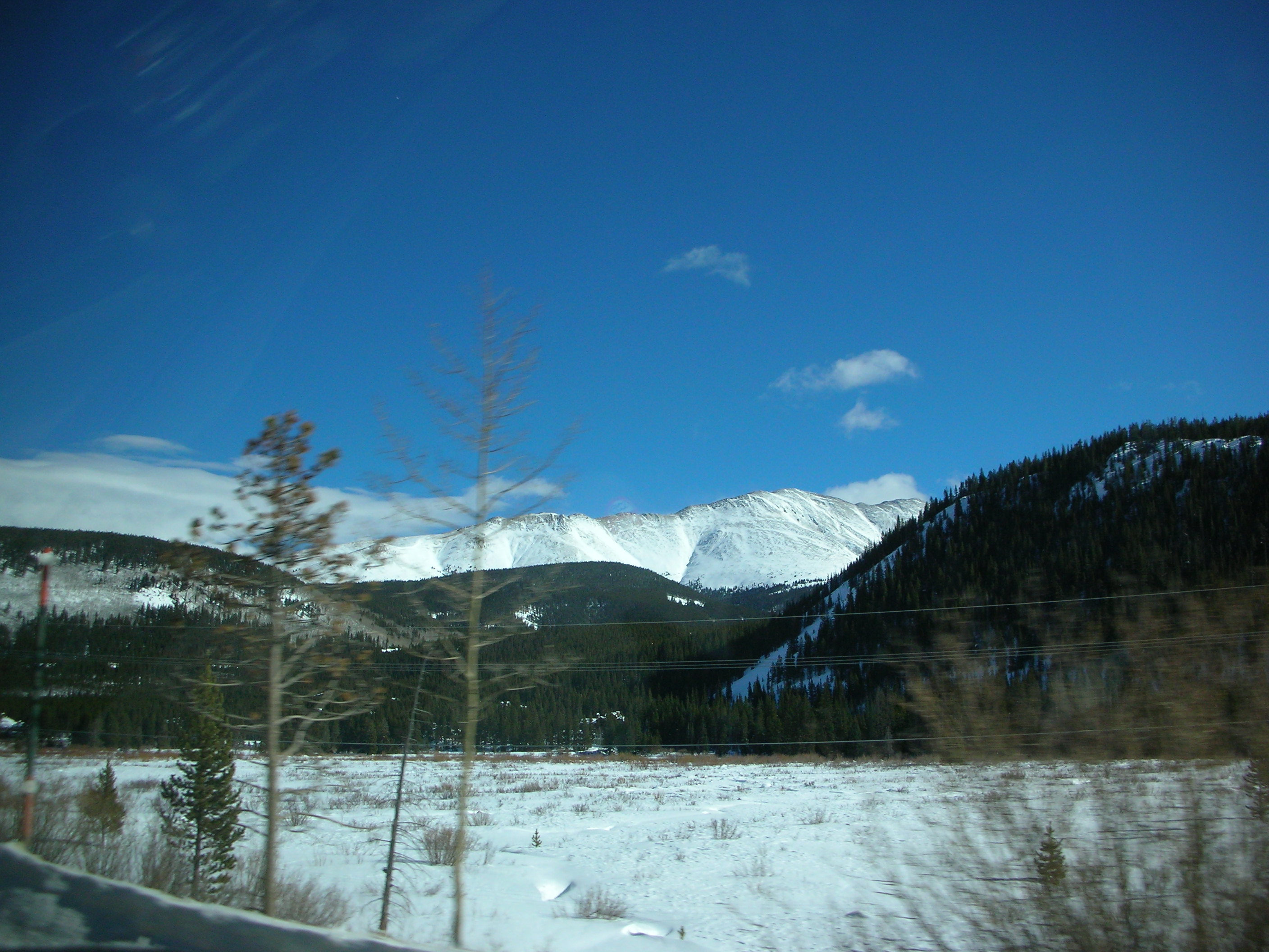 DSCN7945.JPG
