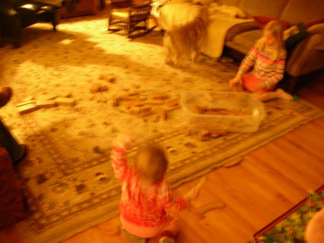 DSCN7989.JPG