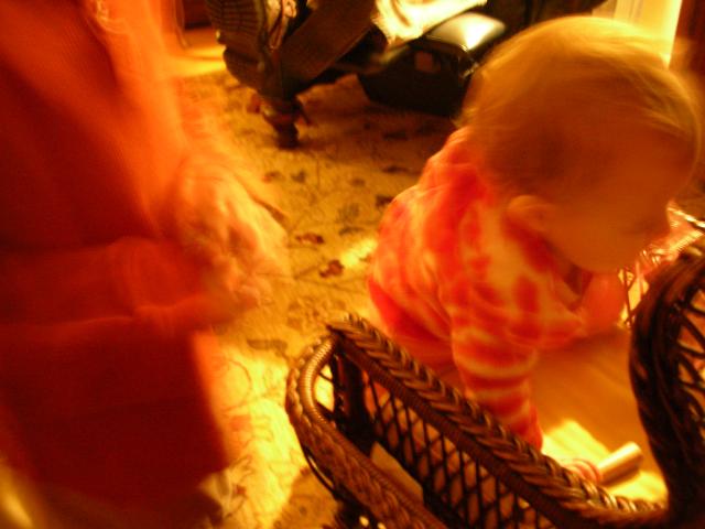 DSCN7995.JPG