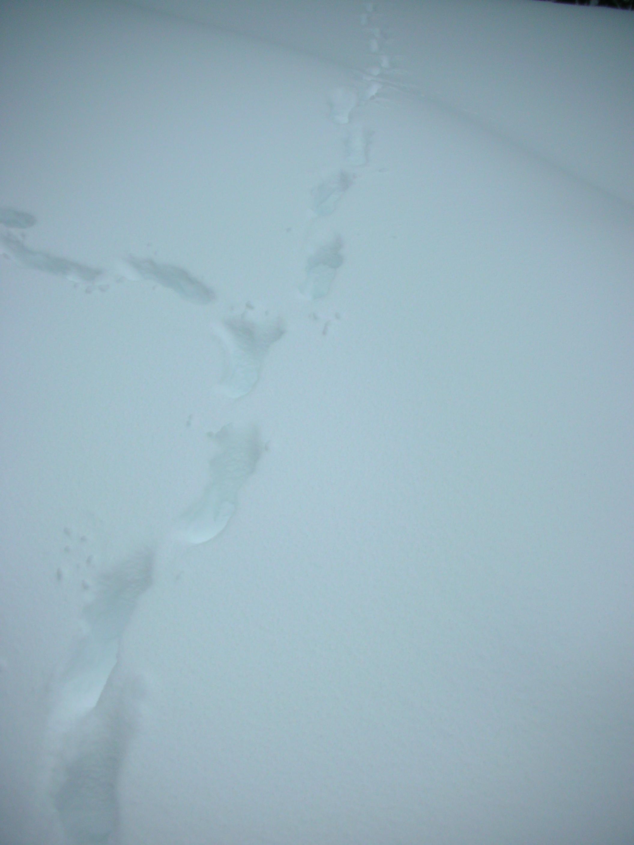 DSCN7893.JPG