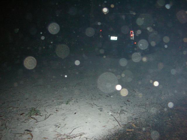 DSCN8000.JPG