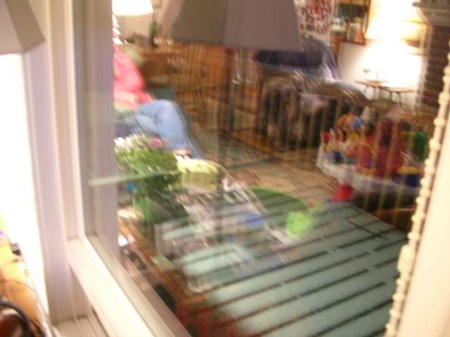 DSCN8003.JPG