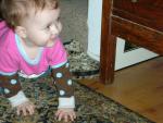 DSCN8028.JPG