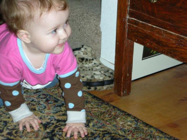 DSCN8028.JPG
