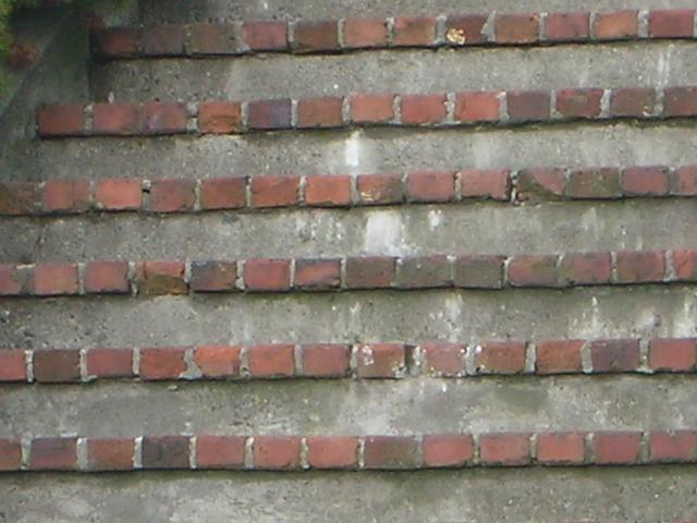 DSCN8135.JPG