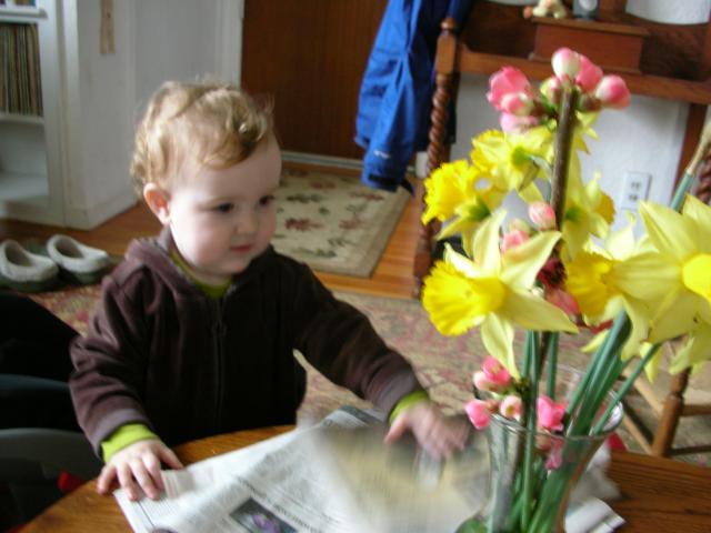 DSCN8155.JPG