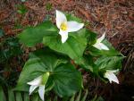 DSCN8180.JPG