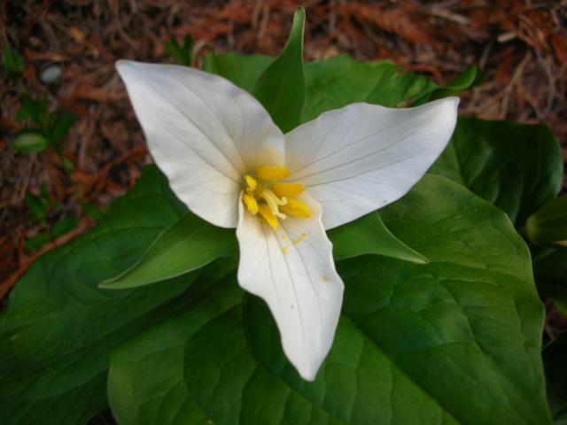DSCN8182.JPG