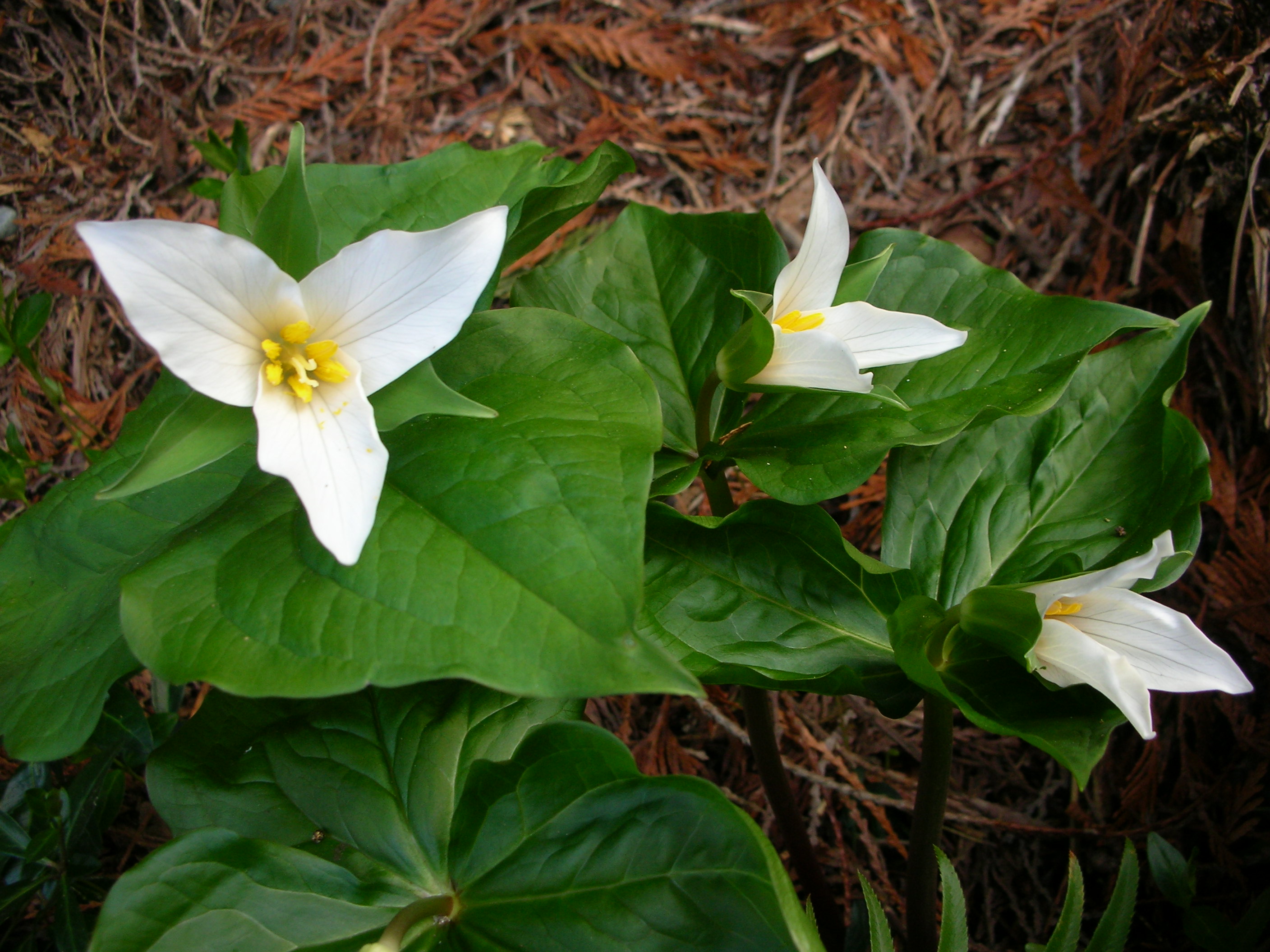 DSCN8183.JPG