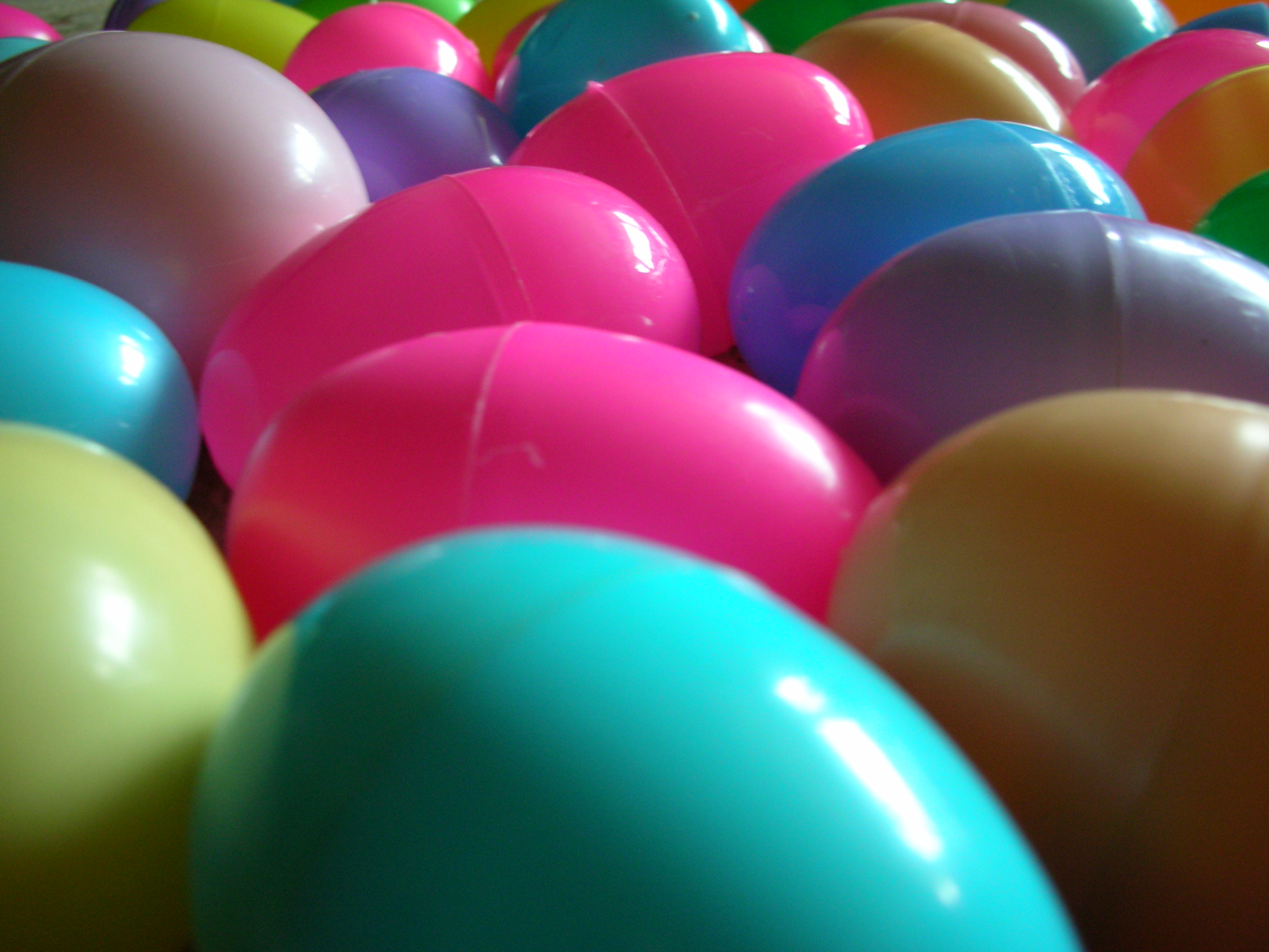 DSCN8212.JPG