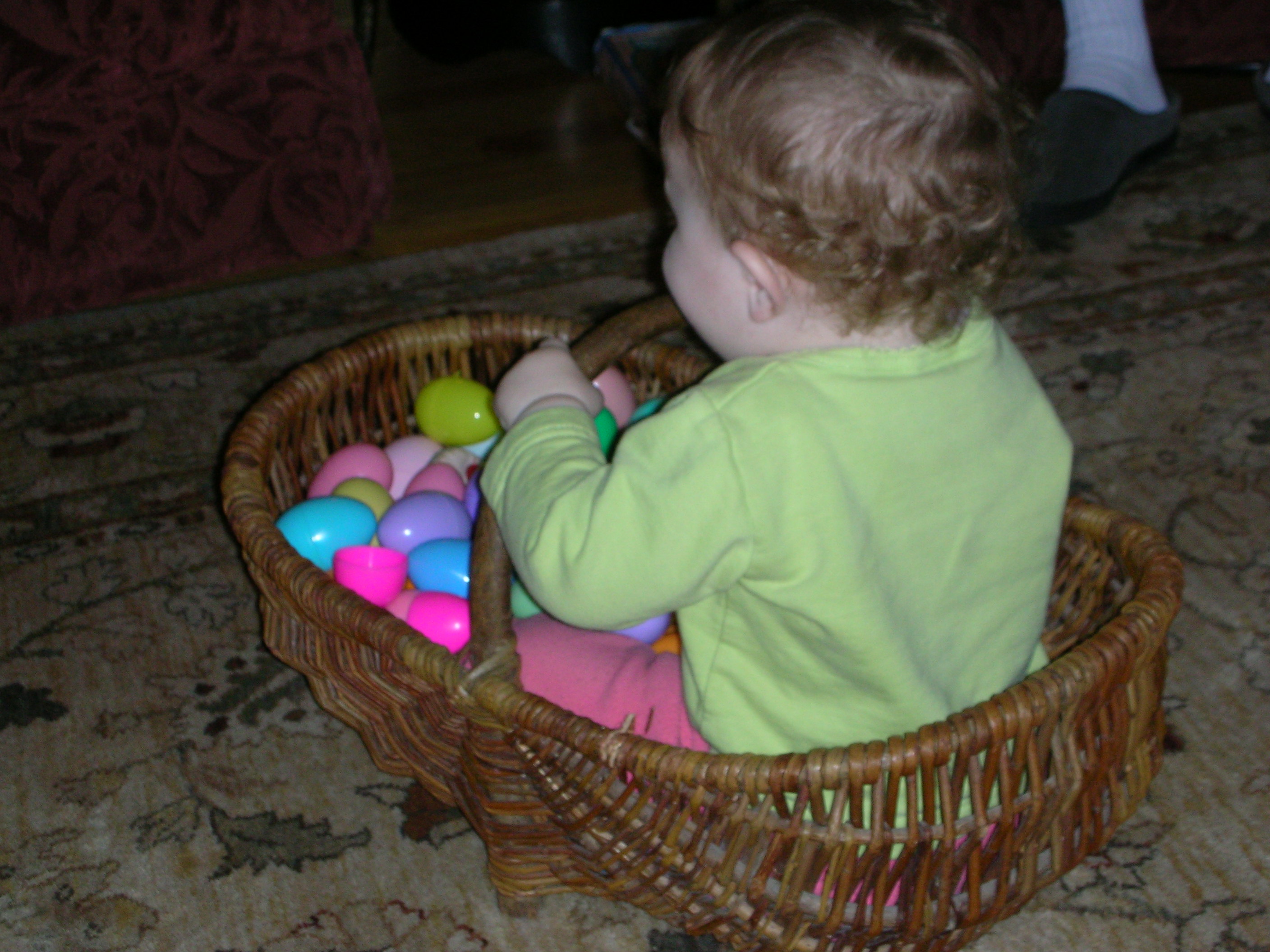 DSCN8223.JPG