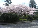 DSCN2501