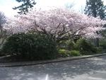 DSCN2502