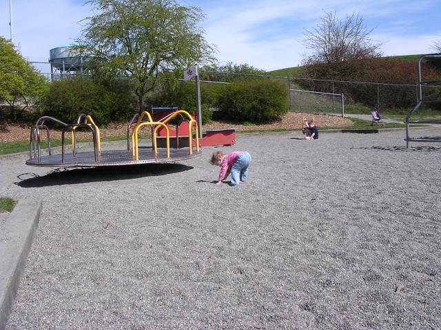DSCN2515