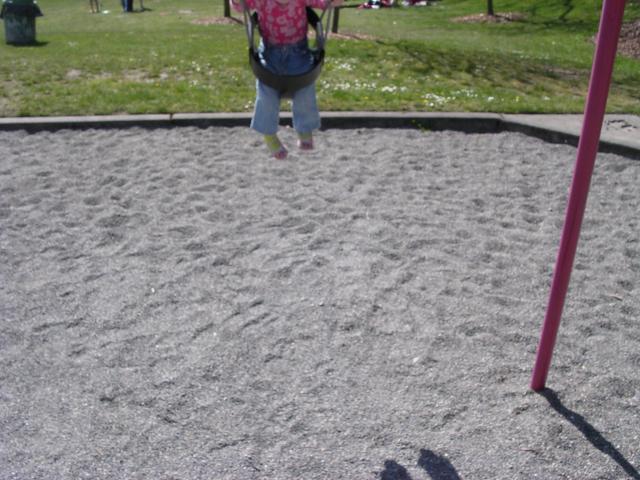 DSCN2543