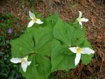 DSCN8311.JPG