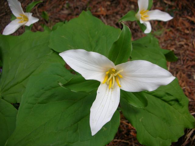 DSCN8312.JPG