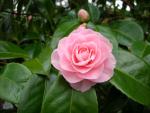 DSCN8313.JPG