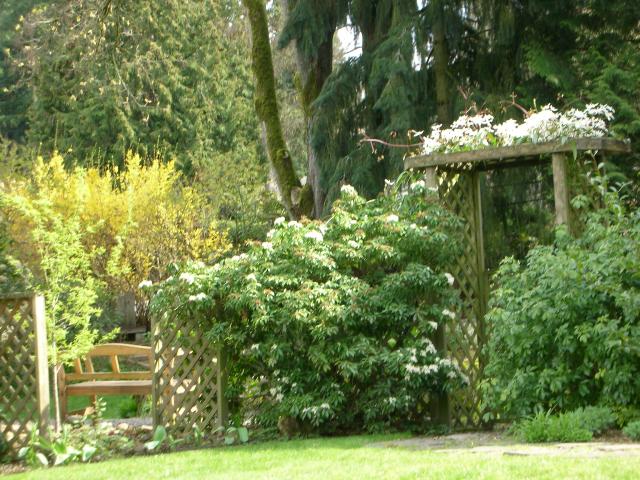 DSCN8319.JPG