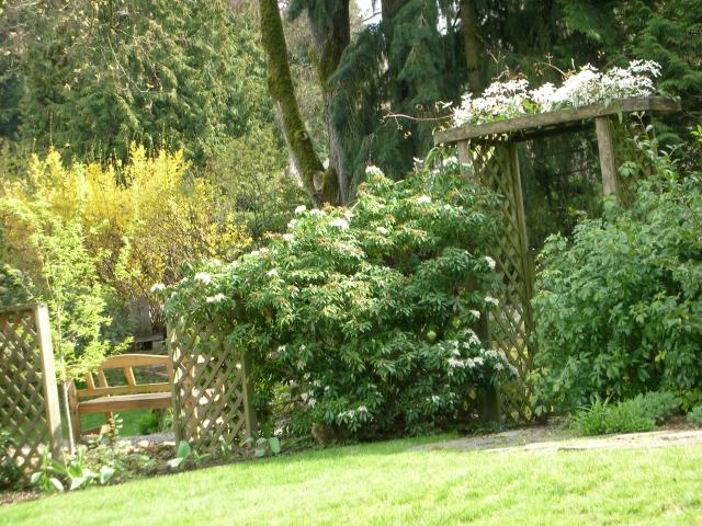 DSCN8320.JPG