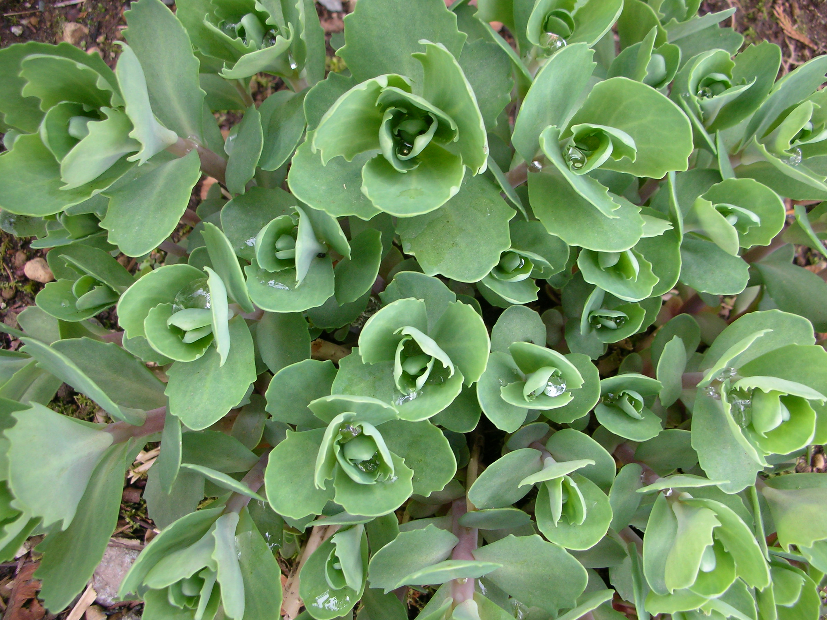 DSCN8329.JPG