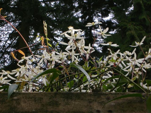DSCN8330.JPG