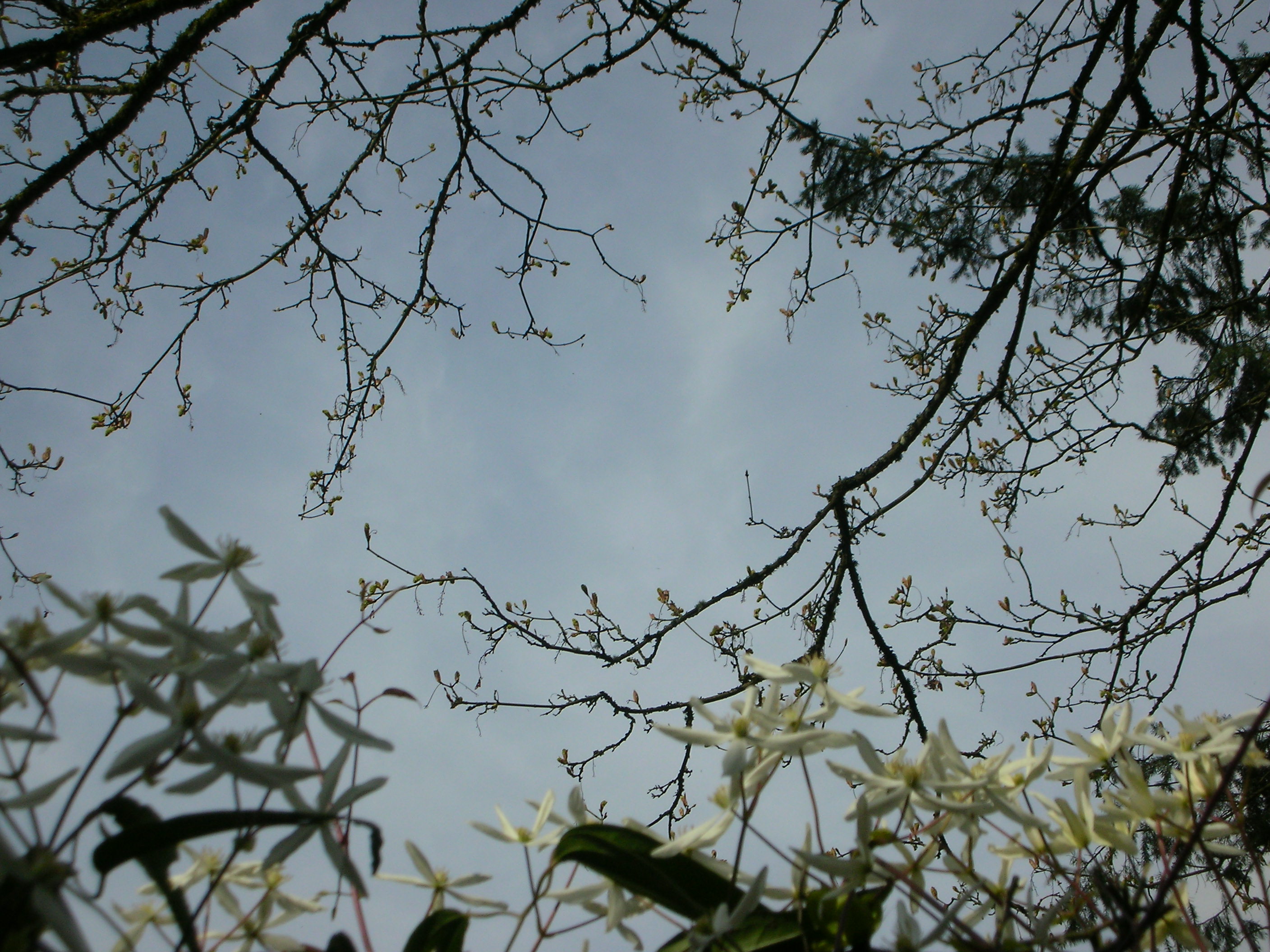 DSCN8332.JPG