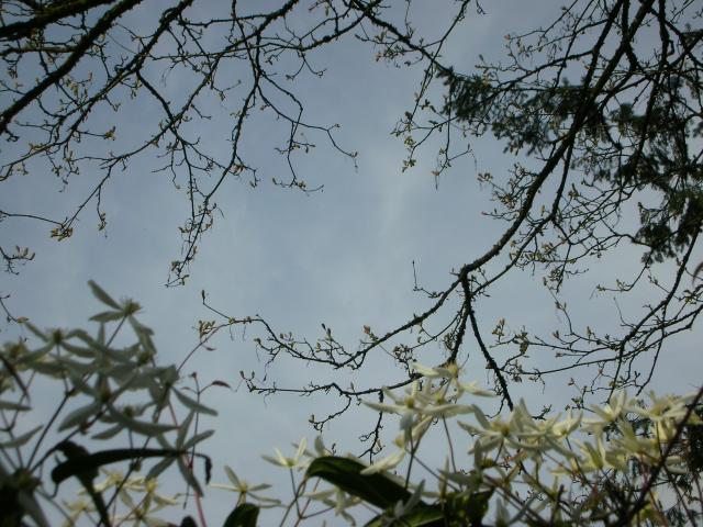 DSCN8332.JPG