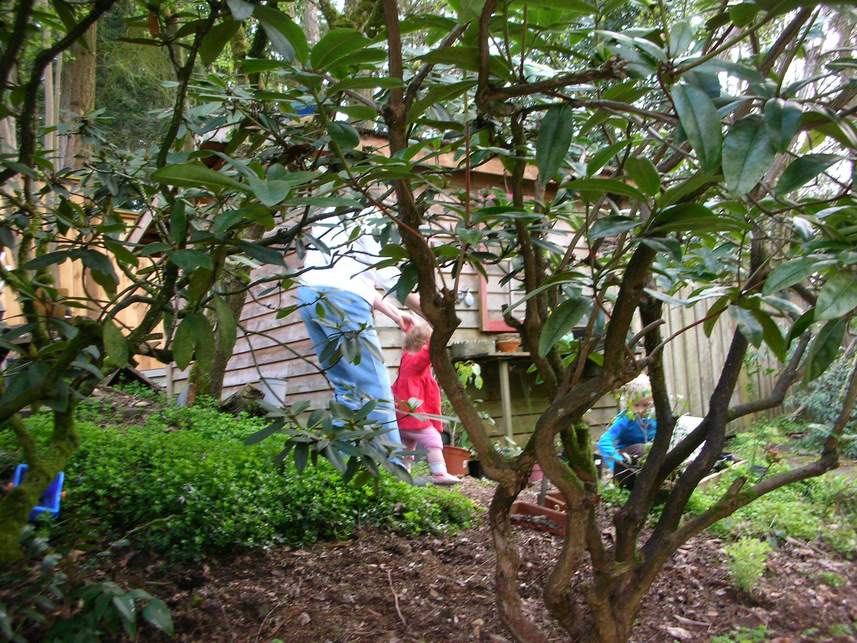 DSCN8339.JPG