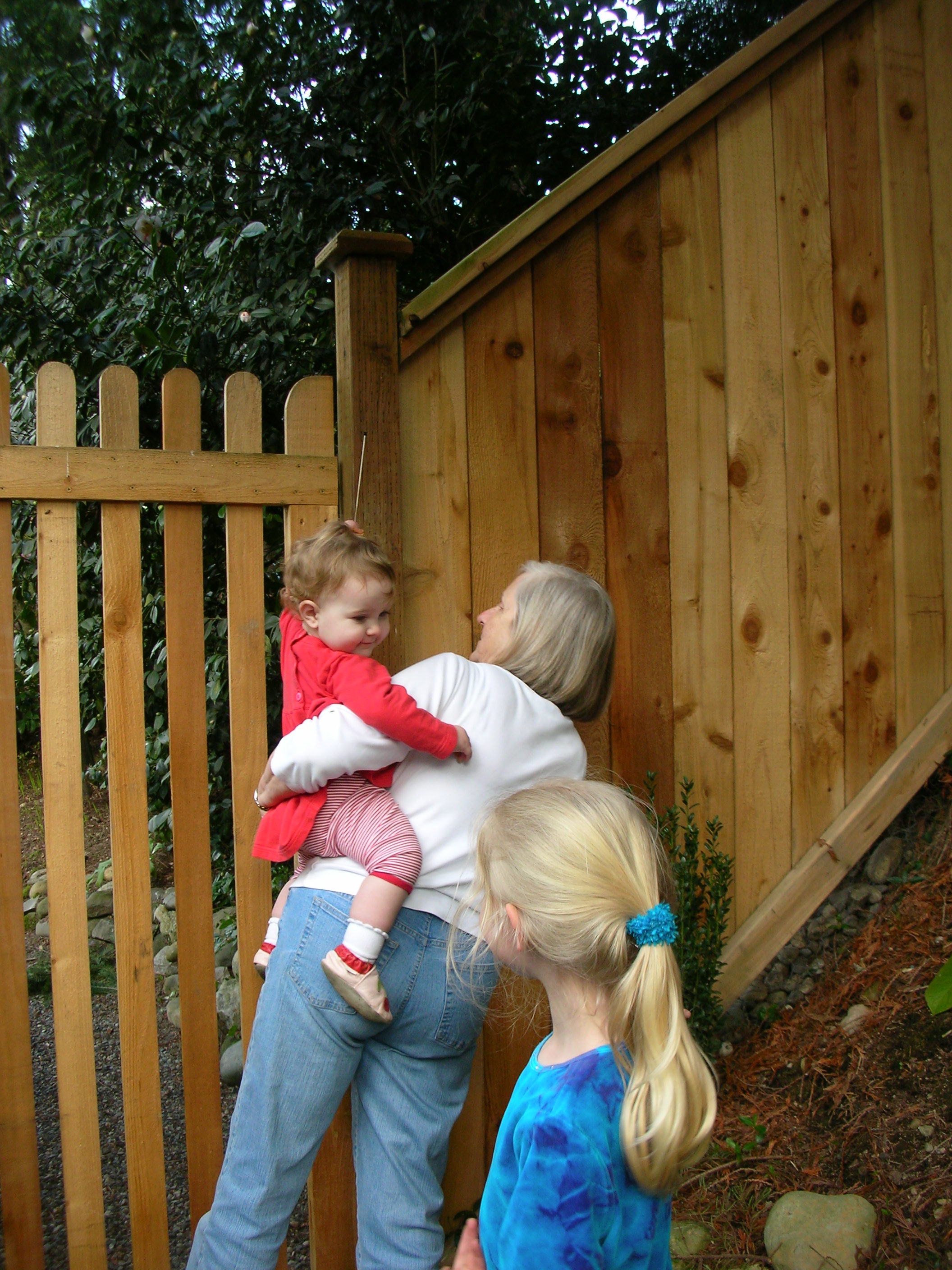 DSCN8342.JPG