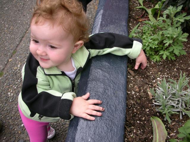 DSCN8358.JPG