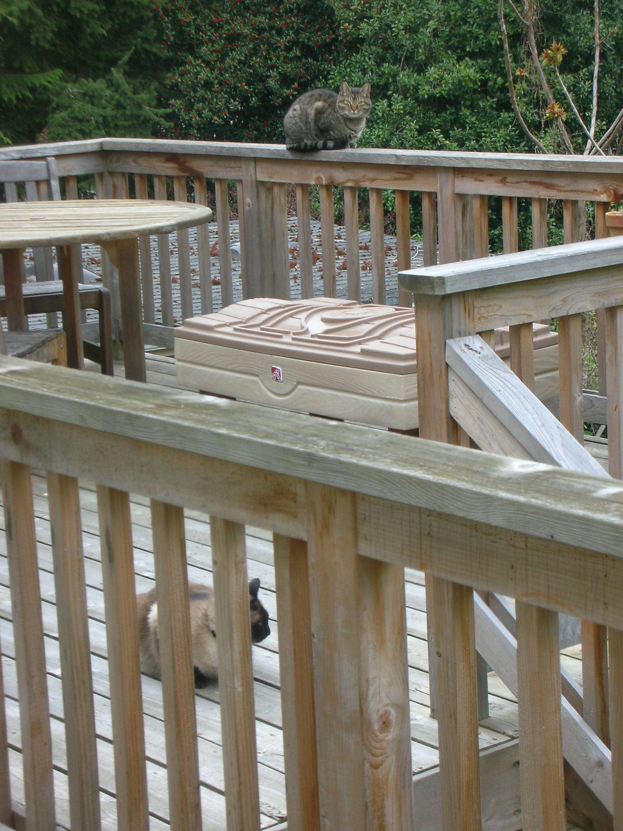 DSCN8371.JPG