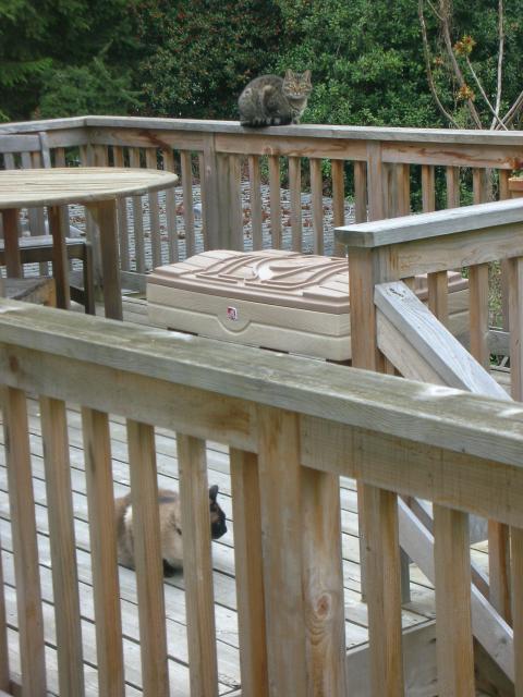 DSCN8371.JPG