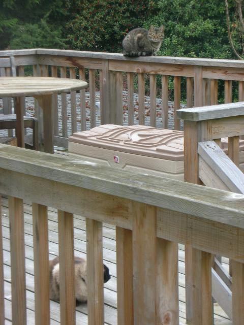 DSCN8372.JPG