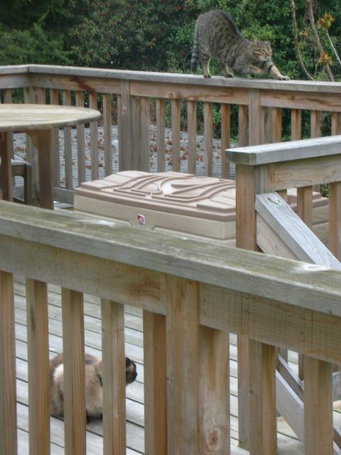 DSCN8373.JPG