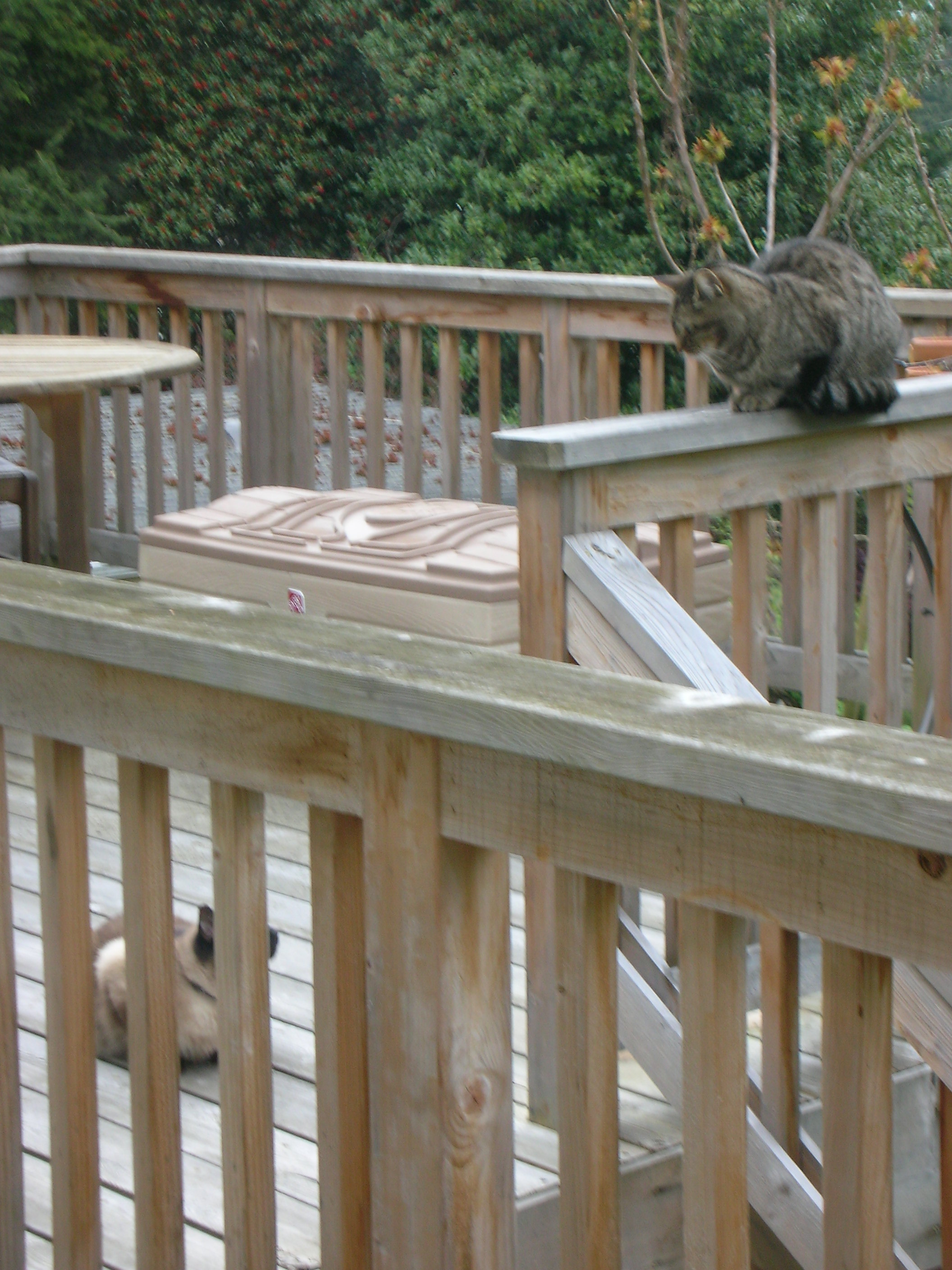 DSCN8374.JPG