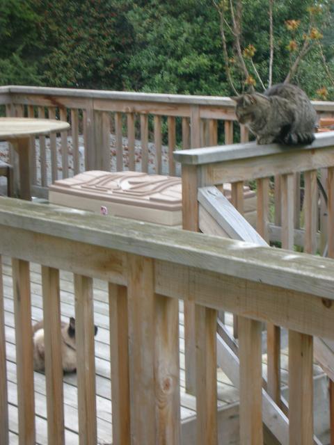 DSCN8374.JPG