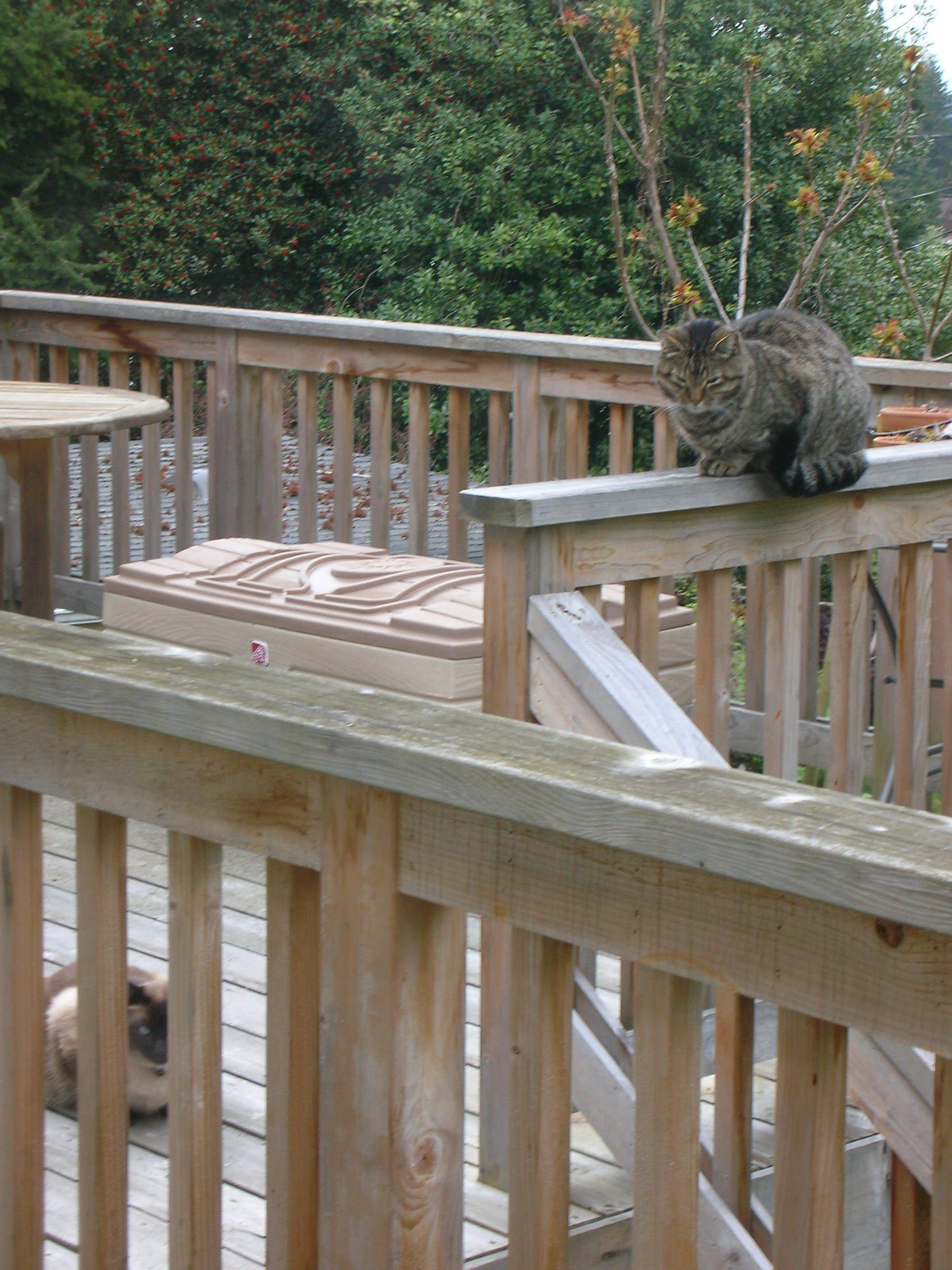 DSCN8375.JPG