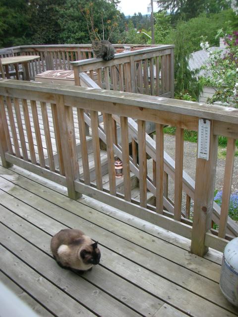 DSCN8376.JPG