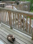 DSCN8377.JPG